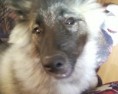/album/korzar/koro23-jpg/